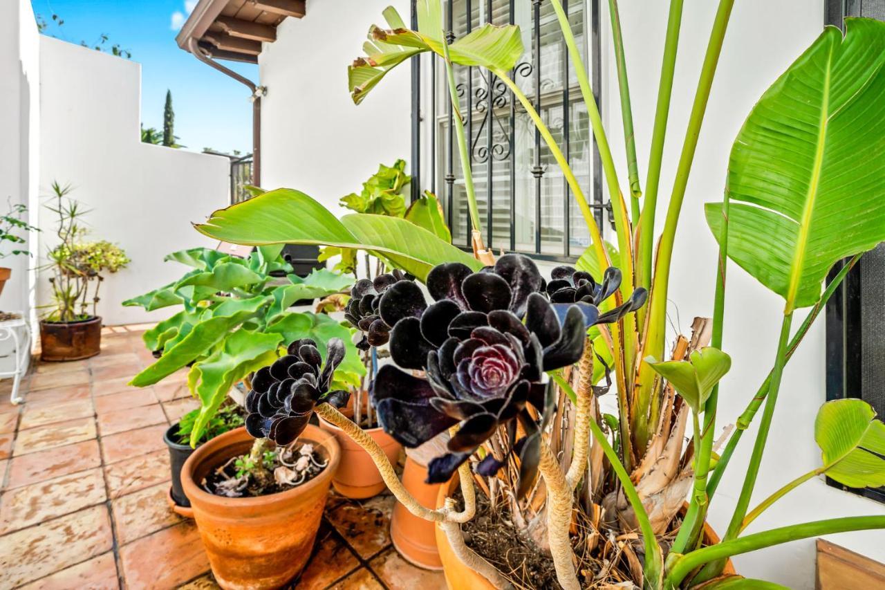 Hollywood Hills Homestay 洛杉矶 外观 照片